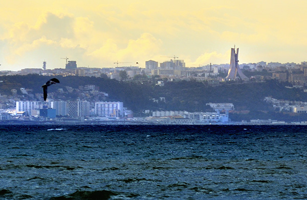 Vista general de Argel. Foto: OMAR-MALO (CC BY-NC-ND 2.0)