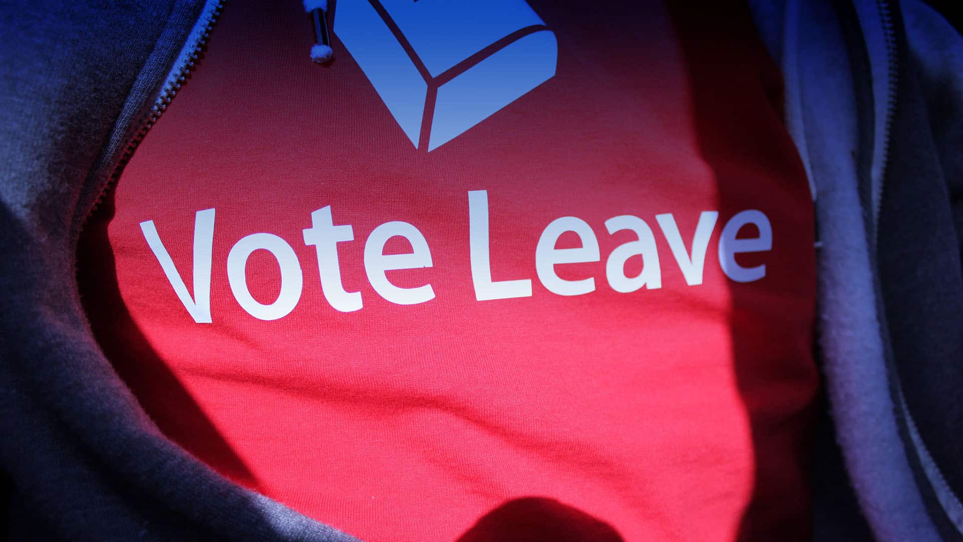 A close-up of a person wearing a red T-shirt with a purple cardigan left open. The T-shirt has the phrase ‘Vote Leave’ printed in white letters –a pro-Brexit slogan used during the 2016 referendum on the UK’s membership of the EU.