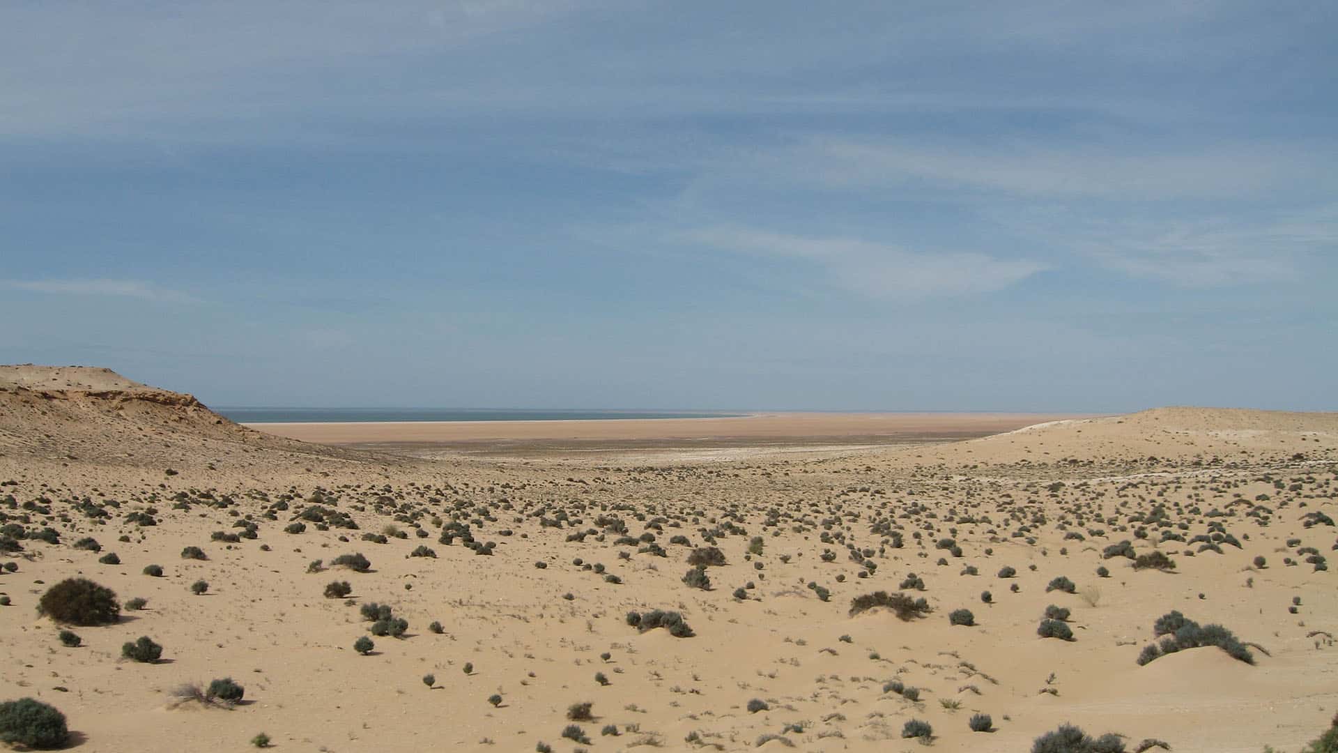 Desert landscape on the coast of Western Sahara. In the background, the beach, the sea and the blue sky.