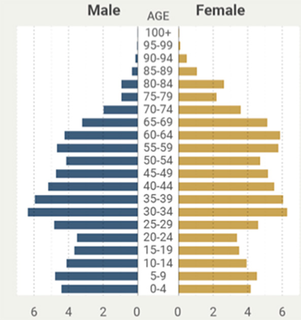 Figura 3. La población de Rusia por edad y sexo, a 1/I/2020 (millones)