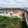 Cárcel de Roraima en Brasil. Foto: Thiago Dezan FARPA CIDH (CC BY 2.0)