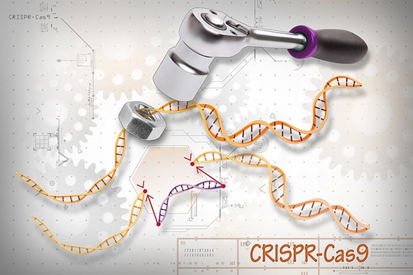 Técnica CRISPR-Cas9 de edición del genoma humano. Foto: Ernesto del Aguila - National Human Genome Research Institute (NHGRI) (CC BY-NC 2.0). Blog Elcano