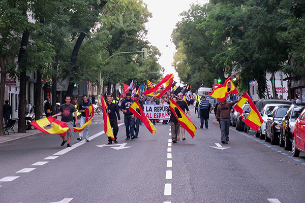 Manifestación convocada por organizaciones de extrema derecha en Madrid el 12 de octubre de 2013. Foto: Fermín Grodira (CC BY 2.0)