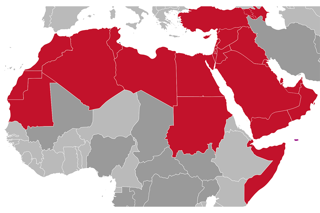Países de Oriente Medio y el Norte de África (MENA, por sus siglas en inglés). Blog Elcano