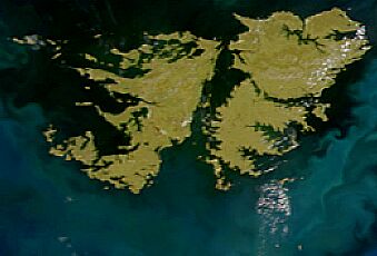 Satellite image of Falkland Islands in November 1999. Cropped image, original taken from NASA's Visible Earth