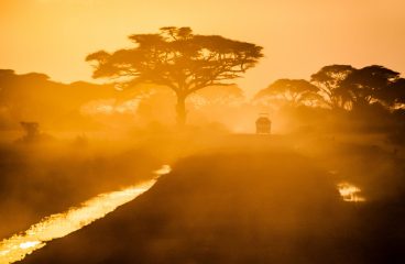 Car passing by in between trees (Amboseli national park, Kenya).