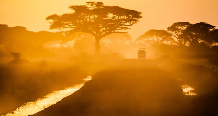 Car passing by in between trees (Amboseli national park, Kenya).