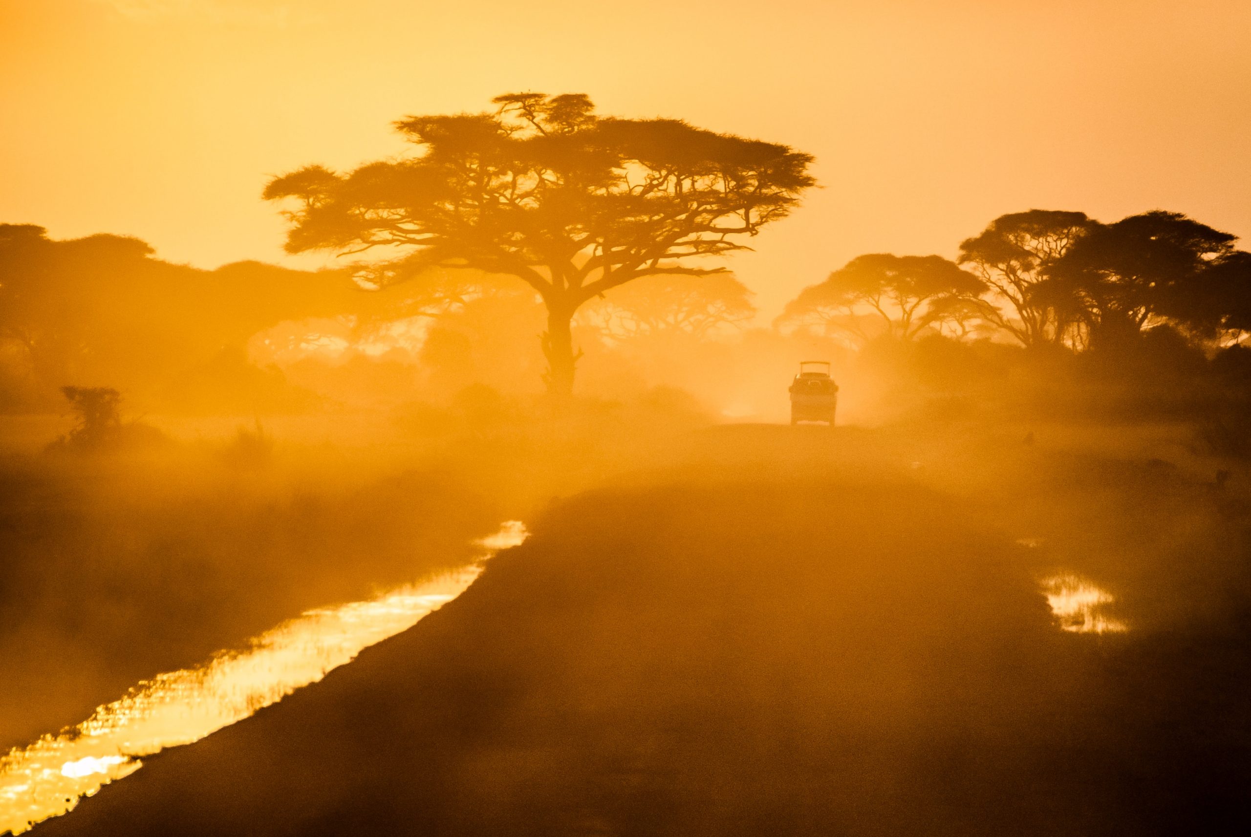 Car passing by in between trees ( Amboseli national park, Kenya). Photo by Sergey Pesterev on Unsplash