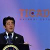 Japanese Prime Minister Shinzo Abe addresses TICAD VI. Photo: GovernmentZA (Photos GCIS) (CC BY-ND 2.0).