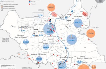 Detalle del panorama de la situación humanitaria en Sudán del Sur (noviembre de 2016). Fuente: UN Office for the Coordination of Humanitarian Affairs. Blog Elcano