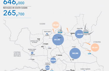 Mapa de la situación humanitaria en Sudán del Sur (a noviembre de 2015). Fuente: Humanitarian Needs Overview - South Sudan, OCHA. Blog Elcano