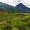 Presencia global de Asia y Pacífico: el continente emergido. Sistema de arrozales en Sapa (Vietnam). Foto: Brian Jeffery Beggerly (CC BY 2.0). Blog Elcano