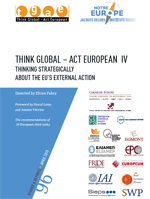 Think Global Act European IIV (2013).