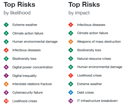 Source: 16th edition, the World Economic Forum’s Global Risks Report (2021)