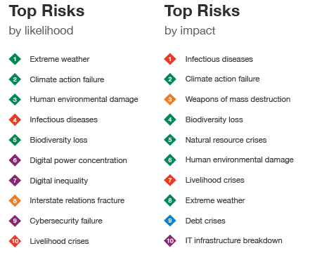 Source: 16th edition, the World Economic Forum’s Global Risks Report (2021)