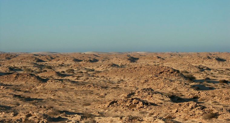 Paisaje del Sahara Occidental. Foto: bob rayner from UK (Wikimedia Commons / CC BY 2.0). Blog Elcano