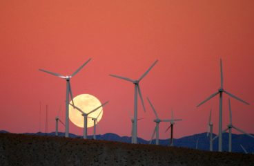 Wind farm in California. Photo: Chuck Coker (CC BY-SA 2.0)