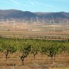 Wind farm close to a vineyard in Huéneja, Granada. Photo: Antonio Zugaldia (CC BY 2.0)