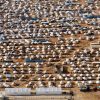Vista aérea de Zaatari, campo de personas refugiadas en el norte de Jordania, en 2012. Foto: United Nations Photo (CC BY-NC-ND 2.0). Blog Elcano