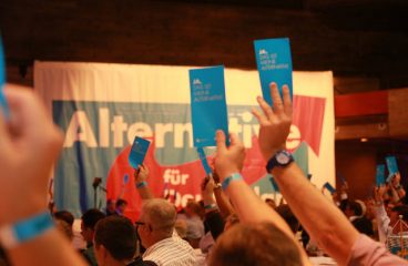 Germans and their "angst". Photo: Voting in AfD's assembly (2014). Metropolico.org / Flickr (CC BY-SA 2.0). Elcano Blog