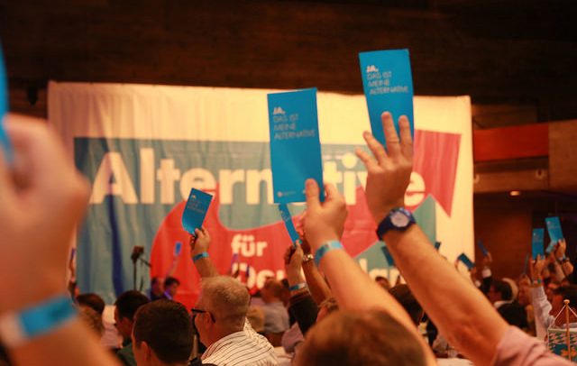 Germans and their "angst". Photo: Voting in AfD's assembly (2014). Metropolico.org / Flickr (CC BY-SA 2.0). Elcano Blog