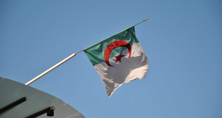 A political economy of low oil prices in Algeria. Algerian flag.