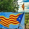 Sedition in Catalonia (2): Nationalism vs cultural diversity. Photo: Serge Costa (CC BY-NC 2.0). Elcano Blog
