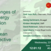 Challenges of the energy transition from a European perspective
