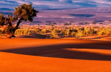 Sahara marroquí. Sergey Pesterev