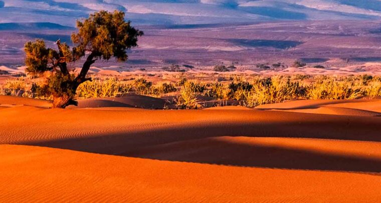 Sahara marroquí. Sergey Pesterev
