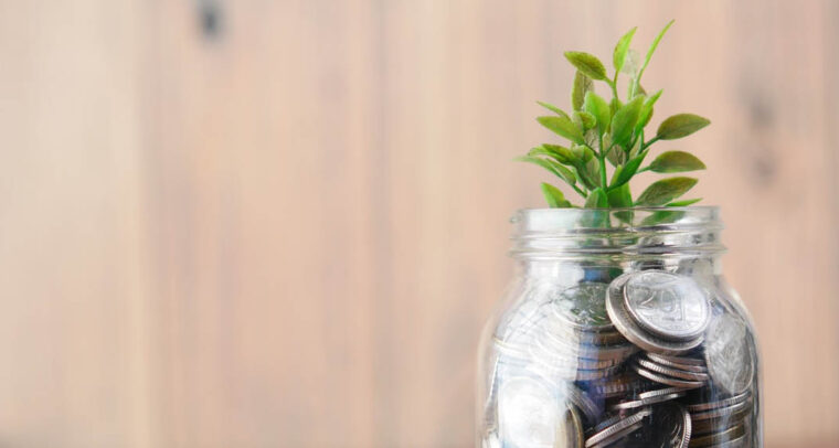 A jar with coins and plants. Representation of the green economy