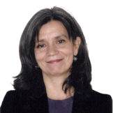 Ana Carmona Contreras, Consejo Científico del Real Instituto Elcano