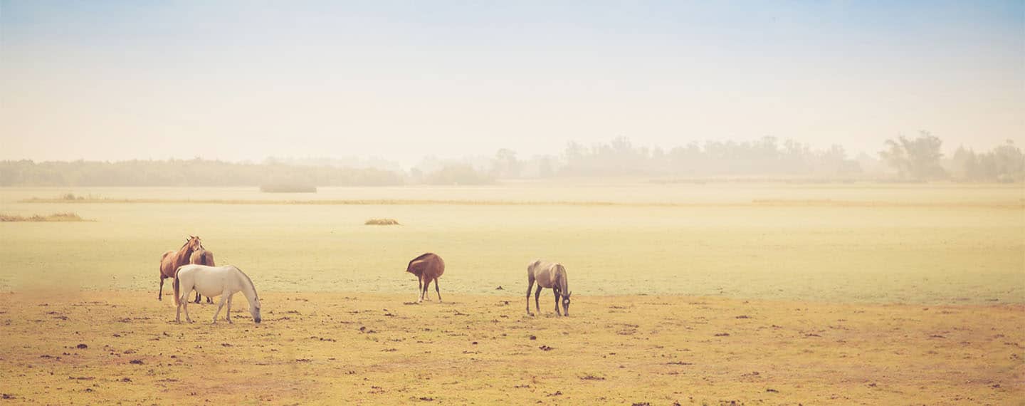 A climate mission in Madrid