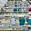 A group of workers inside an apple processing company in Bergamo, Italy. Europe