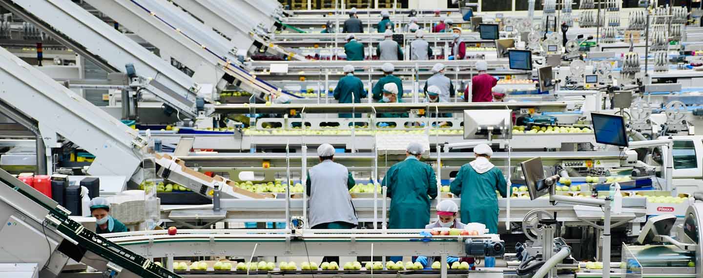 A group of workers inside an apple processing company in Bergamo, Italy. Europe
