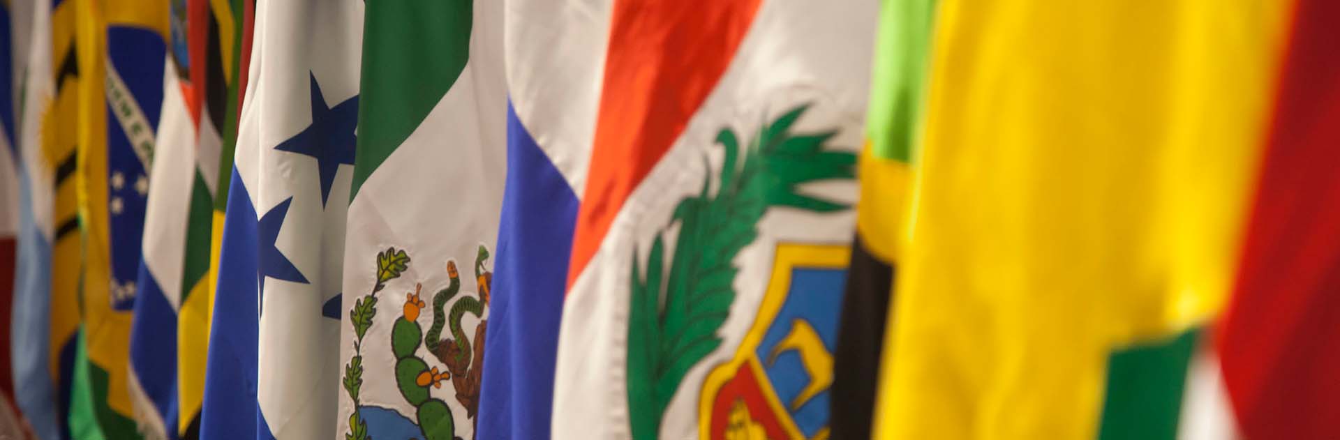 Image of flags of Latin American countries at the CELAC preparatory meeting in Quito, Ecuador (2015). Gaza crisis
