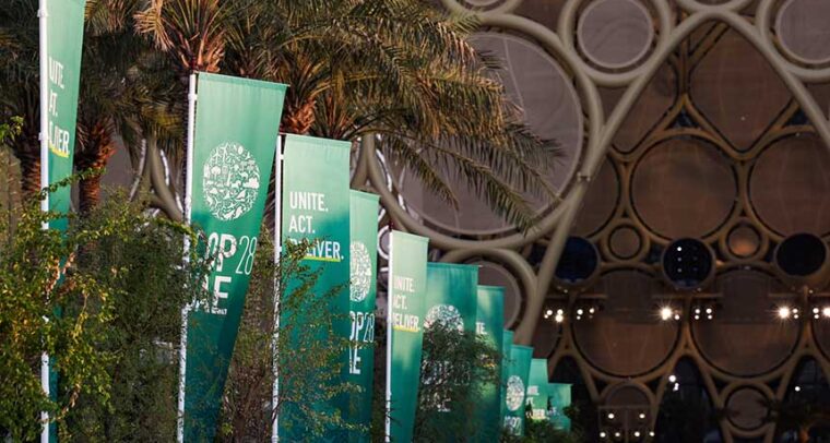 Palmeras con banderas verdes con el logo y el lema “Unite.Act.Deliver) en la vista general de la entrada a la COP28 en la Expo City Dubái en Emiratos Árabes Unidos (4 de diciembre de 2023)