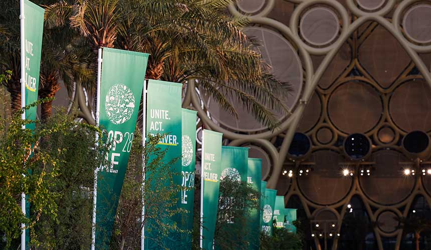 Palmeras con banderas verdes con el logo y el lema “Unite.Act.Deliver) en la vista general de la entrada a la COP28 en la Expo City Dubái en Emiratos Árabes Unidos (4 de diciembre de 2023)