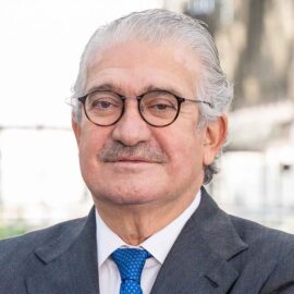José D. Bogas Gálvez. Chief Executive Officer, Endesa. The Elcano Royal Institute Board of Trustees