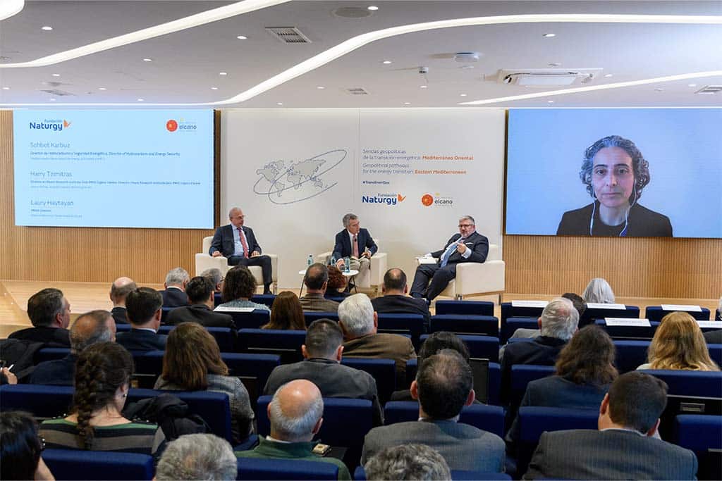 Conference ''Geopolitical pathways for the energy transition: the Eastern Mediterranean''
