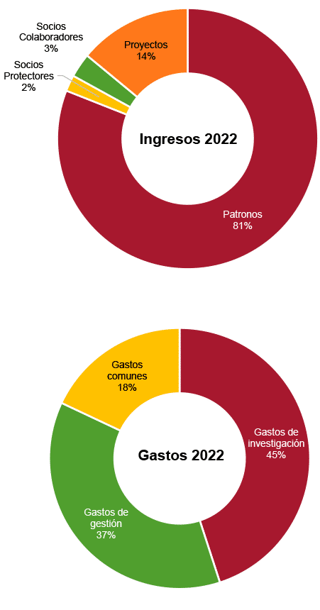 Cuentas anuales (ejercicio 2022). Gráfico de ingresos y gastos. Real Instituto Elcano