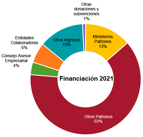 Financiación 2021. Real Instituto Elcano