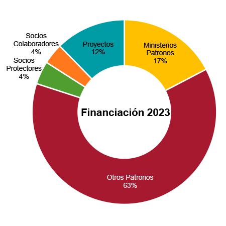 Financiación 2023. Real Instituto Elcano