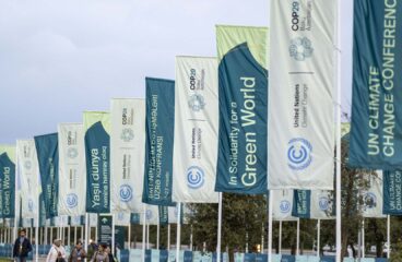 Pancartas y banderas en la Conferencia de las Naciones Unidas sobre el Cambio Climático COP29 en Bakú, Azerbaiyán, mostrando mensajes como «En solidaridad por un mundo verde». Los asistentes caminan por un sendero con la marca de la conferencia de fondo. COP29