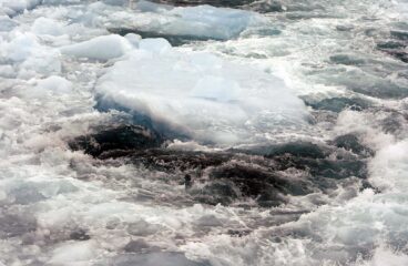 Hielo marino fragmentado flotando en aguas turbulentas y frías, mostrando una mezcla de bloques de hielo azules y espuma blanca debido a las corrientes marinas. Agua