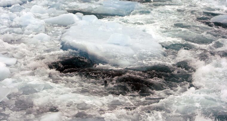 Hielo marino fragmentado flotando en aguas turbulentas y frías, mostrando una mezcla de bloques de hielo azules y espuma blanca debido a las corrientes marinas. Agua