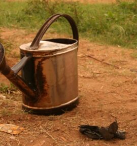 Two worn metal watering cans on a dirt ground with some vegetation, possibly used for irrigation in a rural or agricultural environment. Development