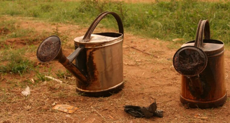 Dos regaderas metálicas desgastadas en un terreno de tierra con algo de vegetación, utilizadas posiblemente para el riego en un ambiente rural o agrícola. Desarrollo