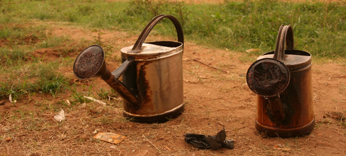 Dos regaderas metálicas desgastadas en un terreno de tierra con algo de vegetación, utilizadas posiblemente para el riego en un ambiente rural o agrícola. Desarrollo