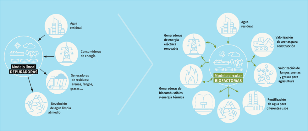 Las biofactorías como modelo de economía circular en el sector del agua. Diagrama del modelo lineal de depuradoras vs. el modelo circular de biofactorías